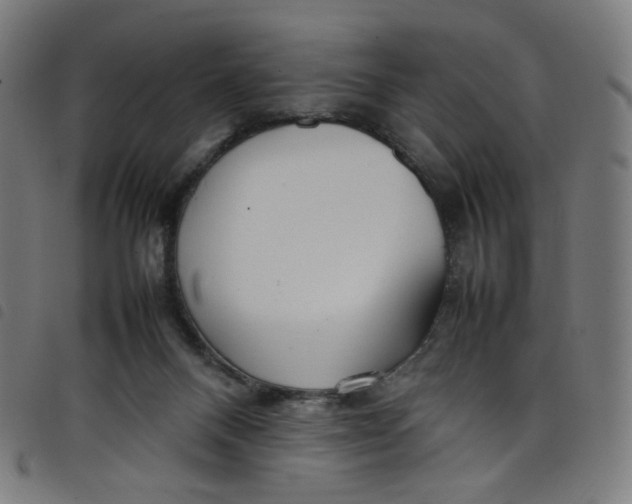 X0000098120120200804251501