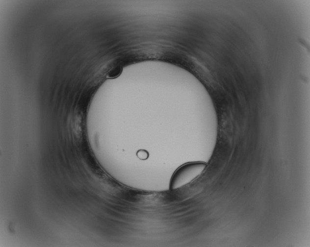 X0000098120122200804251501