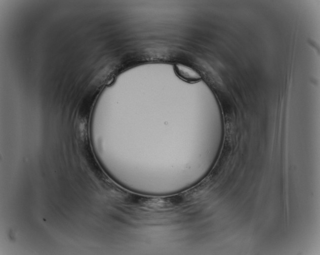 X0000098120123200804251501