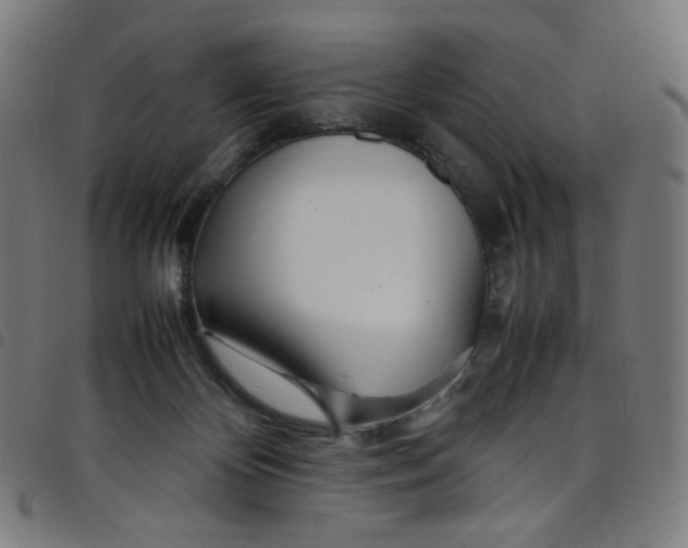 X0000098120124200804251501