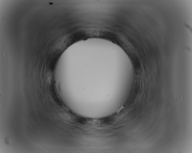 X0000098120125200804251500