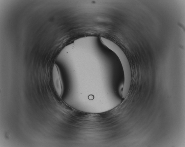 X0000098120128200804251500