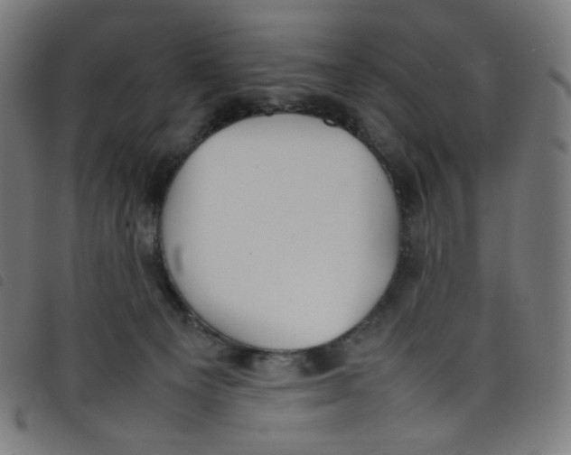 X0000098120129200804251500