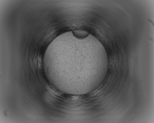 X0000098120130200804251500