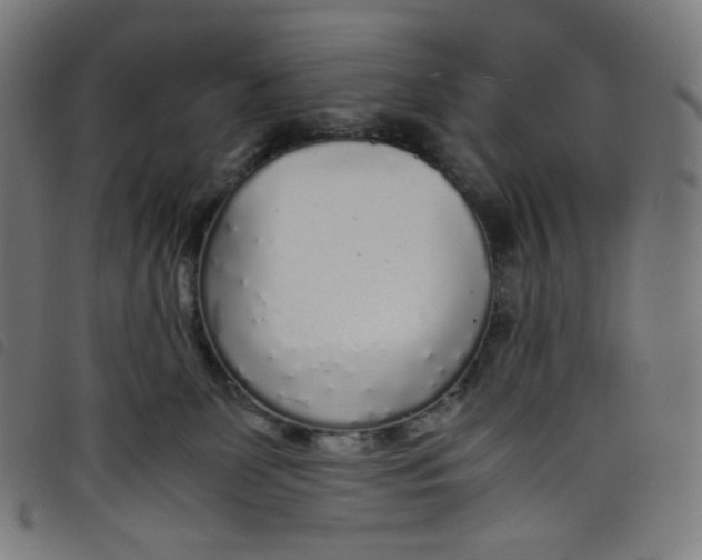 X0000098120131200804251500