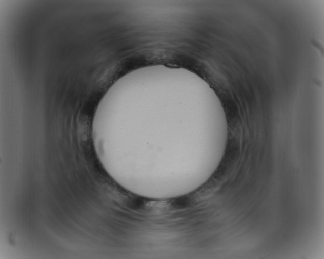 X0000098120133200804251500
