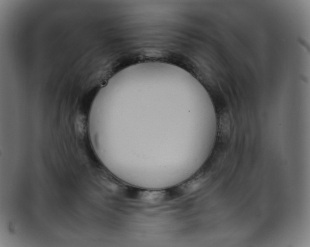 X0000098120135200804251500
