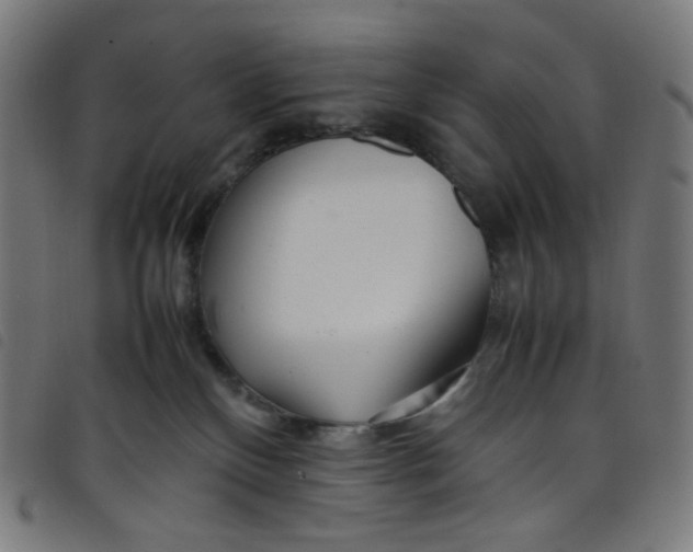 X0000098120136200804251500