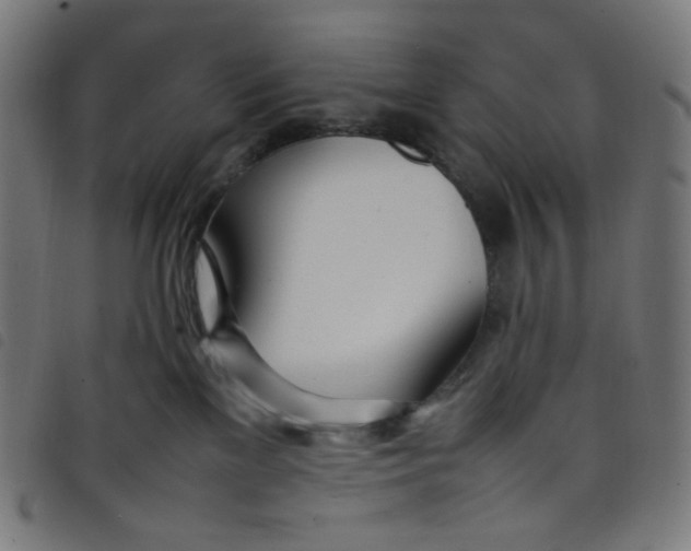 X0000098120137200804251500