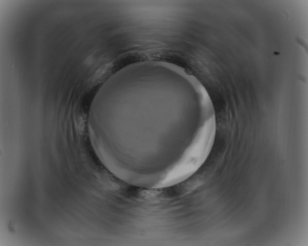 X0000098120139200804251500