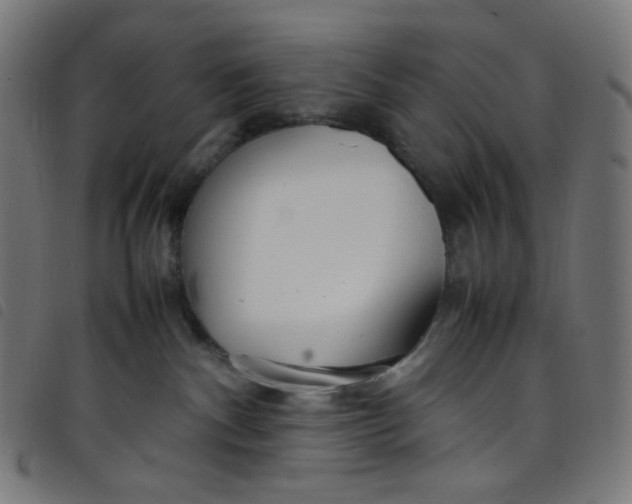 X0000098120140200804251500
