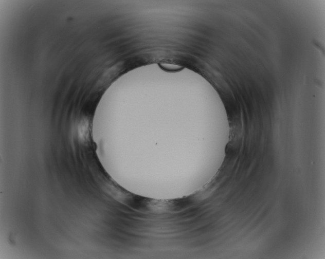 X0000098120142200804251500
