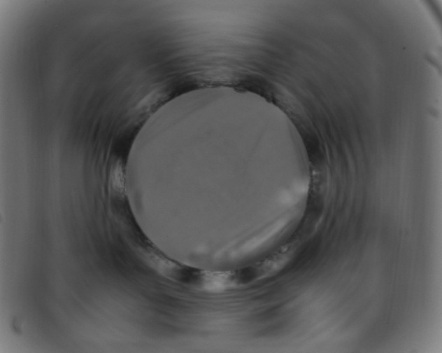 X0000098120143200804251500