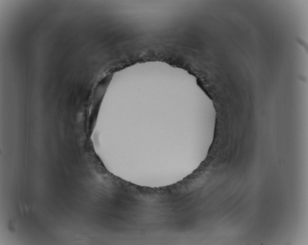 X0000098120144200804251500