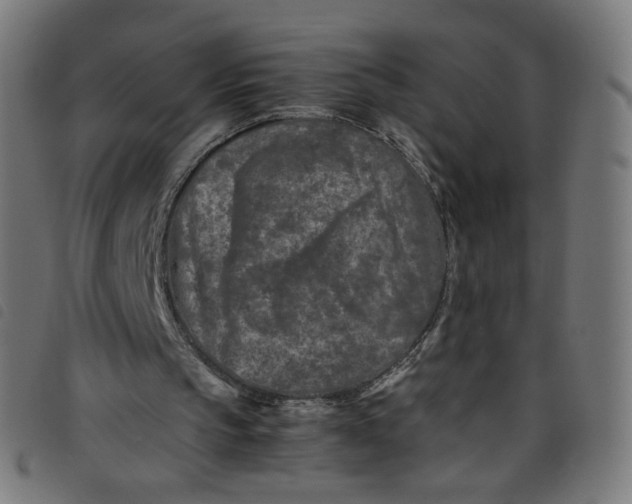 X0000098120145200804251459
