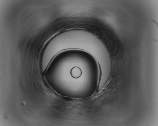 X0000098120146200804251459