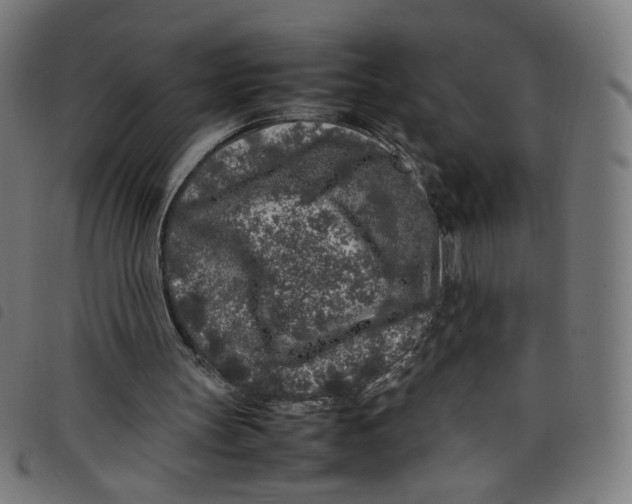 X0000098120147200804251459