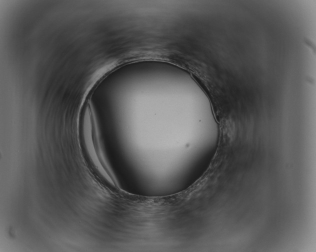 X0000098120148200804251459