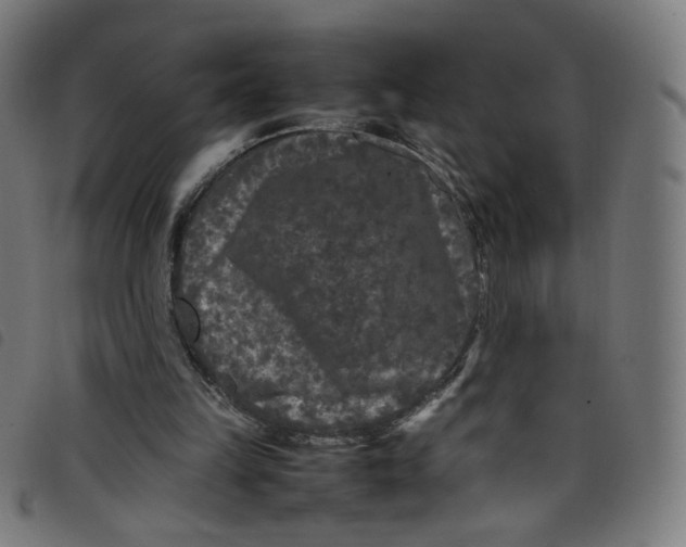 X0000098120149200804251459