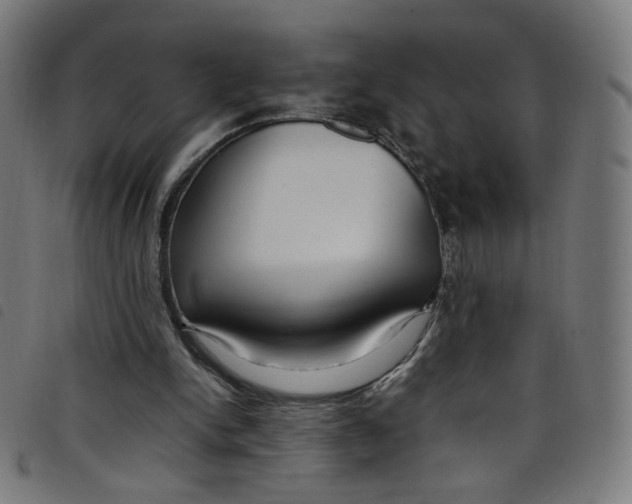 X0000098120150200804251459