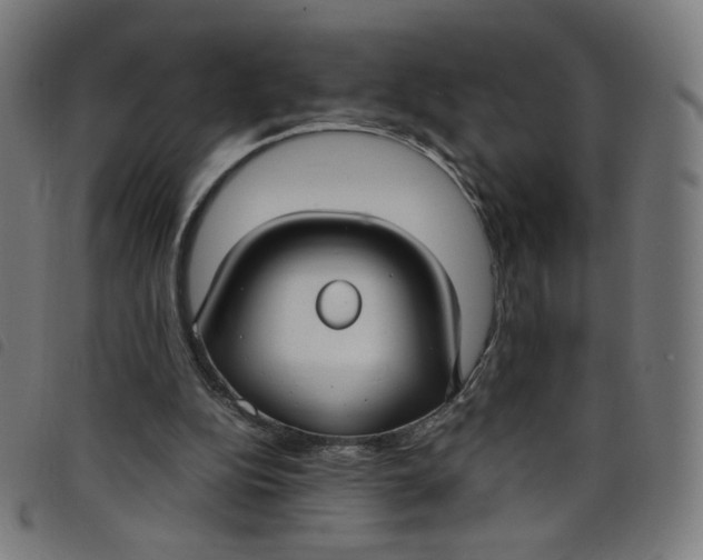 X0000098120152200804251459