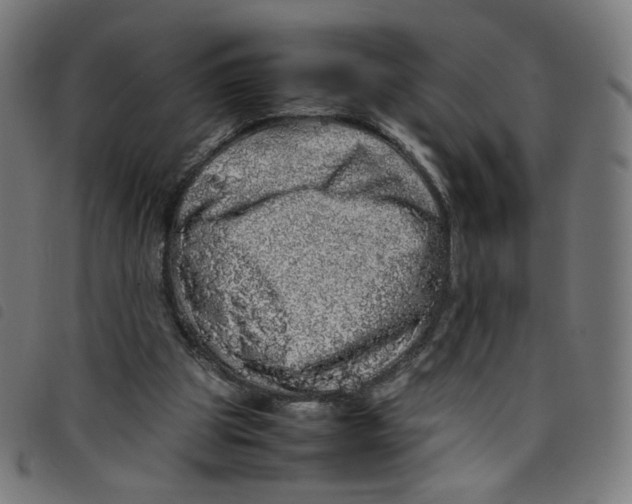 X0000098120153200804251459