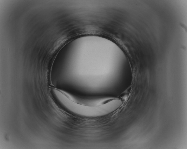 X0000098120154200804251459
