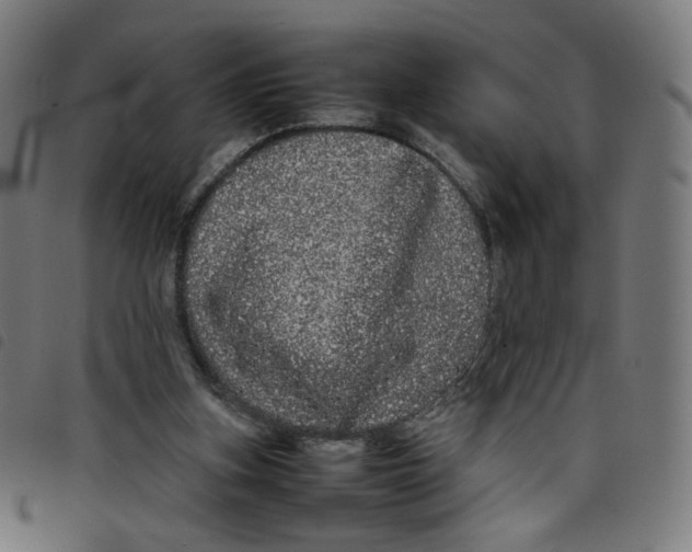 X0000098120155200804251459