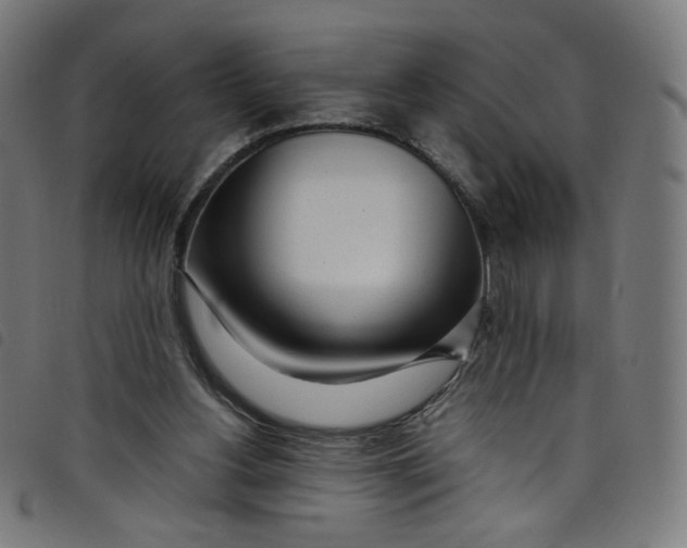 X0000098120156200804251459