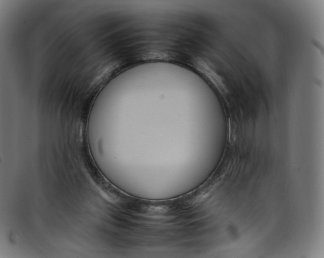 X0000098120157200804251459