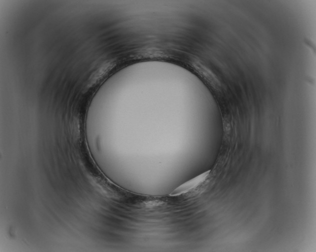 X0000098120158200804251500