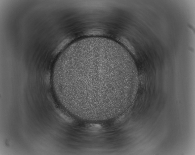 X0000098120159200804251500