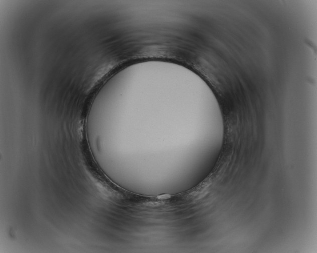 X0000098120160200804251500
