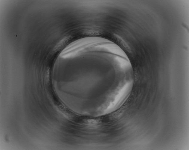 X0000098120163200804251500