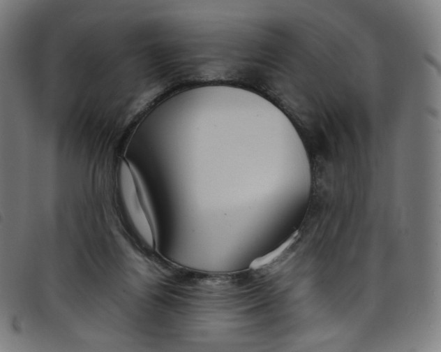 X0000098120164200804251500