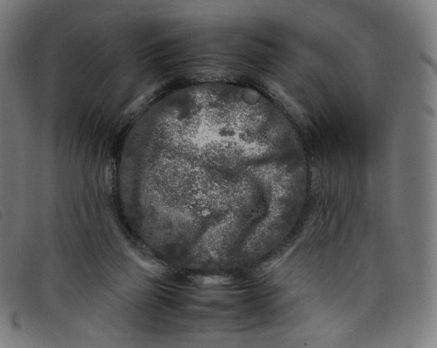 X0000098120165200804251500