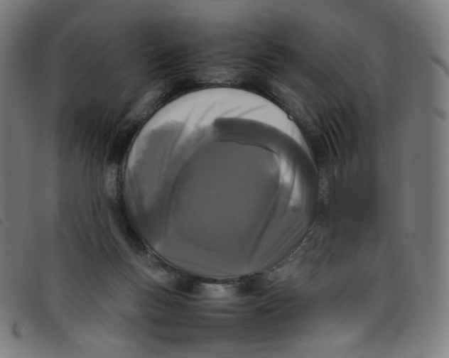 X0000098120167200804251500