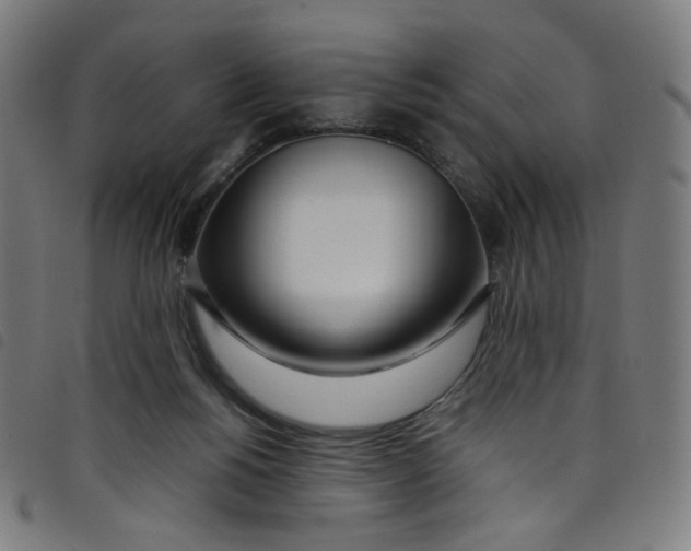 X0000098120168200804251500