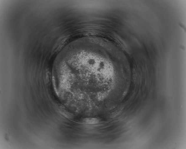 X0000098120169200804251500
