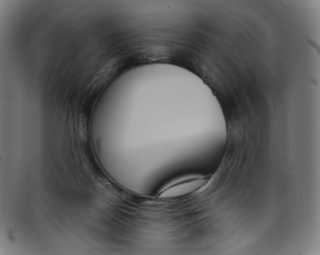 X0000098120170200804251500