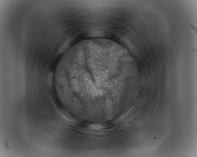 X0000098120171200804251500