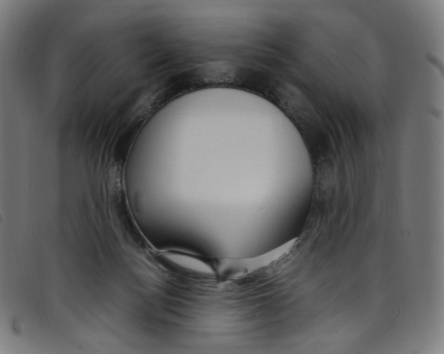 X0000098120172200804251500