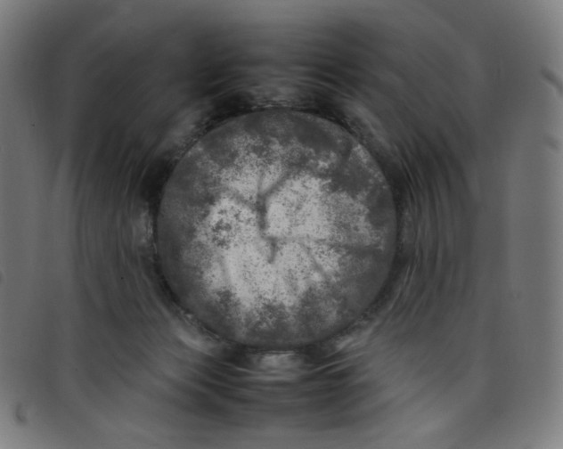 X0000098120173200804251500