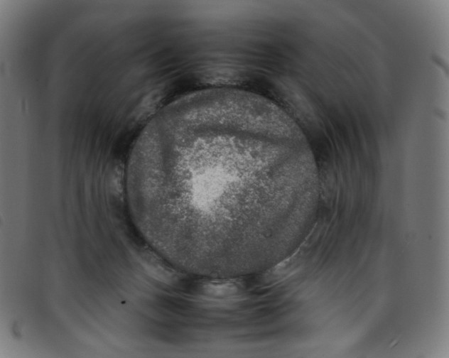 X0000098120175200804251500