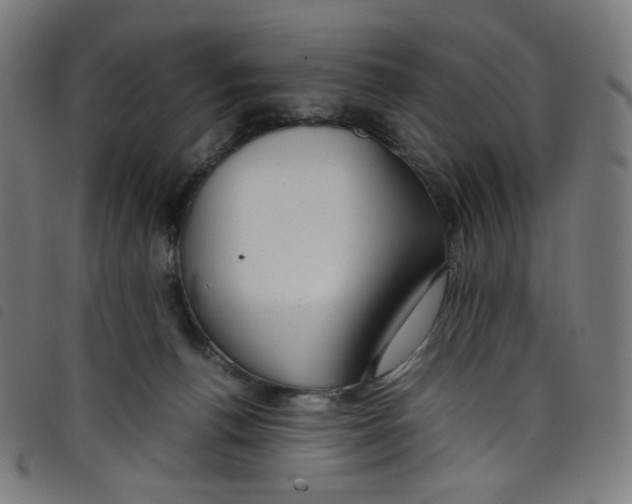 X0000098120176200804251500