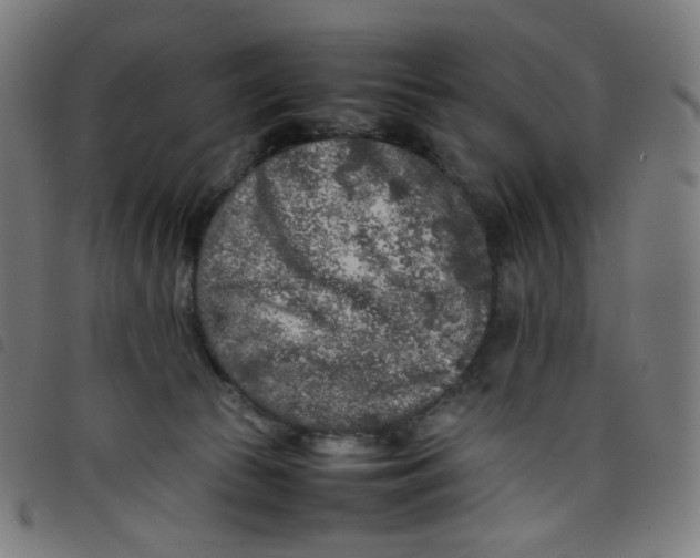 X0000098120177200804251500