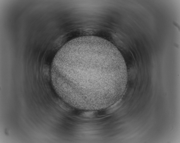 X0000098120178200804251500