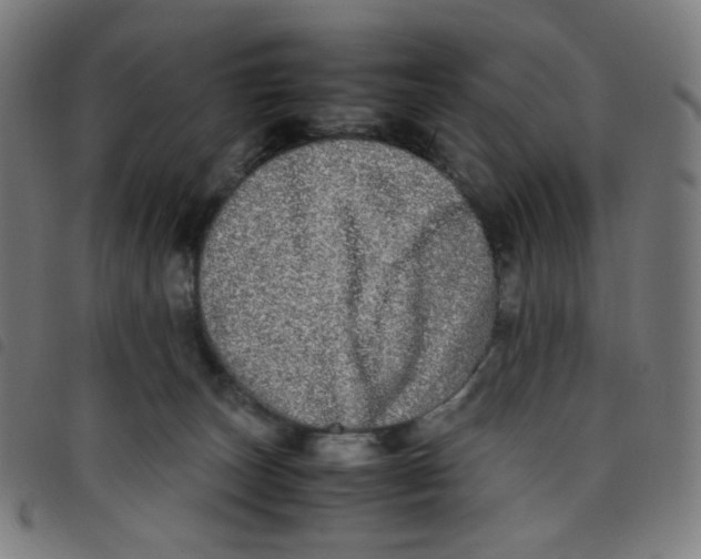 X0000098120179200804251500