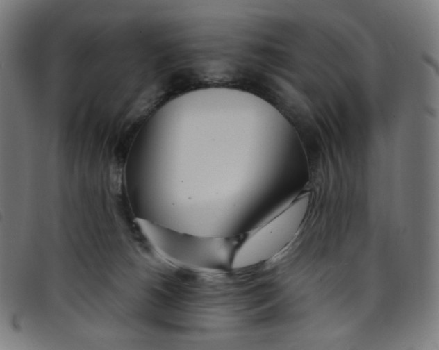 X0000098120180200804251500