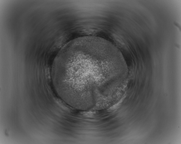 X0000098120182200804251500
